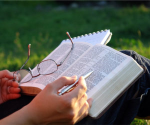 man reading a bible