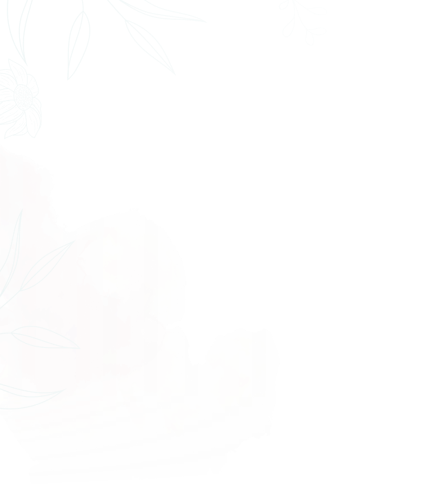 a petals of flower with transparent background