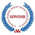 sdvosb
