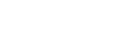 Wellness Strategic Partners